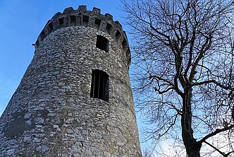 Das Projekt - Affe spielt Schach